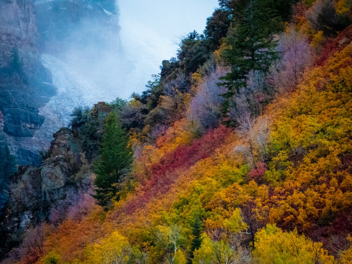 The Best States to Visit in November: A Journey Through America’s Autumnal Wonders