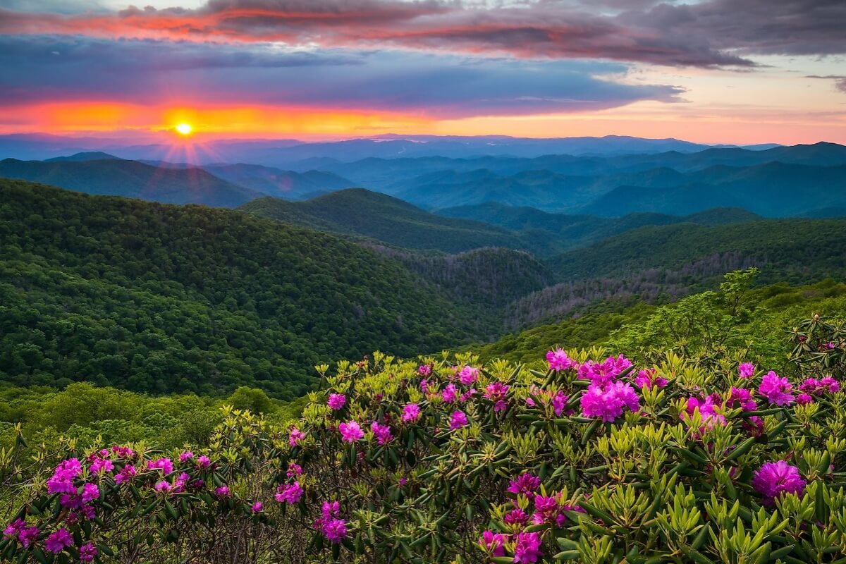 From Mountains to Coast: The Diverse Allure of North Carolina