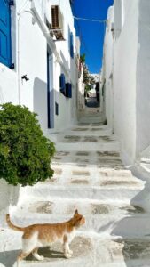 Strolling street of Mykonos